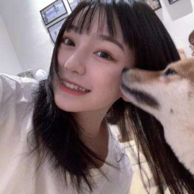废土快递游戏